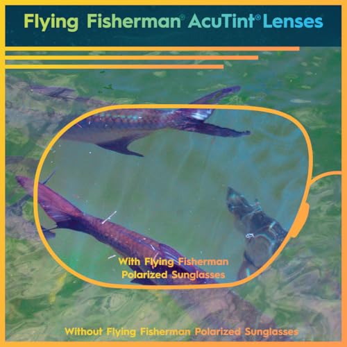 Flying Fisherman Triton Readers Polarized Rectangular Sunglasses, Black Frames/Amber Lenses, Large4