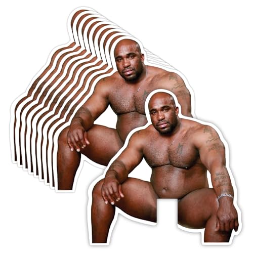 GRITKULTURE Funny Barry Wood Light Switch Decal Sticker 10 Pack for Wall Mural Prank and Decoration Waterproof Vinyl Joking Wall Stickers for Living Room, Car, Computer, Bumper