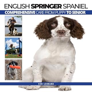 English Springer Spaniel cover art