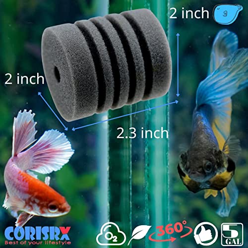 Image of Aquarium Sponge Filter Luxury Set for Breeding Fry, Fish Tank Fine Small Sponge Filter up to 10 Gallon, Fish Tank Mini Bio Foam Filter for Betta Shrimp (5x Replacement Sponge for Mini Sponge Filter)