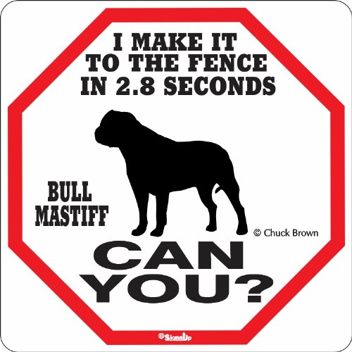 Bullmastiff 2.8 Seconds
