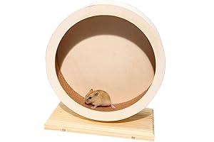 Sturdy Silent Hamster Wheel: A Noiseless Exercise Essential for Small Pets