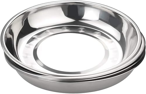 Paquete de 4 platos de camping de metal de acero inoxidable, platos de cocina