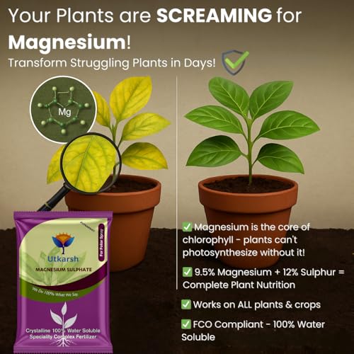 Image of Utkarsh Epsom Salt - Magnesium Sulphate for Plants Growth and Home Garden | 100% Water Soluble Fertilizer | Enhances Photosynthesis & Nutrient Uptake (900 gm; Pack of 1)