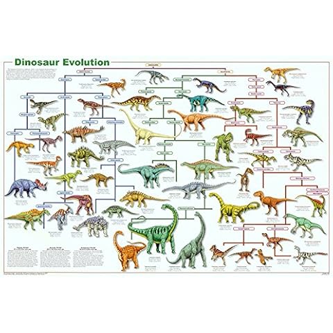 Feenixx Laminated Dinosaur Evolution Poster 24x36 Cover