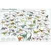 Dinosaur Evolution Educational Science Chart Poster 36 x 24in