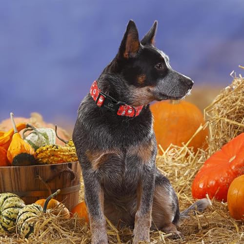 Up Urara Pup CC-FALLCOFFEE-M Fall Cotton Dog Collar thumb #3