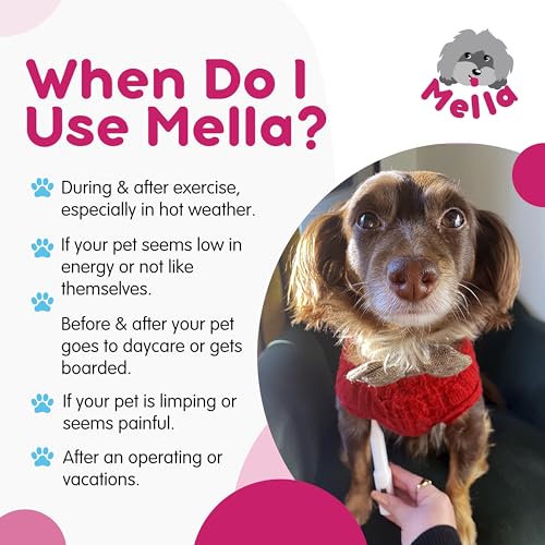 Mella HOME001 Pet Thermometer - Non-Invasive thumb #3