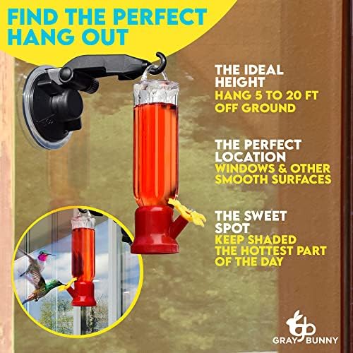 Hummingbird Feeder with Window Hanger Hummingbird Feeders for