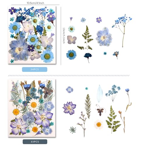 Image of 100 PCS Blue Pressed Dried Flowers and Leaves with Tweezers | Natural Dried Flowers, For Resin, Candle, Jewelry, Scrapbooking & DIY Crafts