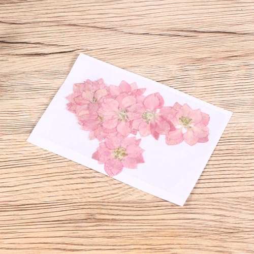 KALLORY Stickers Flores Secas 20 pz Decoración DIY miniatura 5