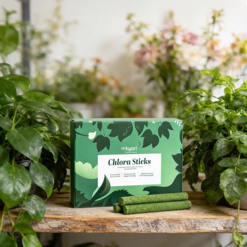 Kyari Plant Fertilizer Sticks for Indoor Plants | All-Purpose Slo...