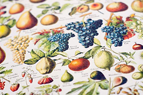 Follygraph Frutta Poster Vintage Poster, Adolphe