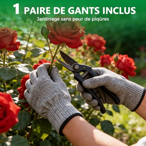 Désherbeur pour allées de maison avec gants de protection inclus - 7