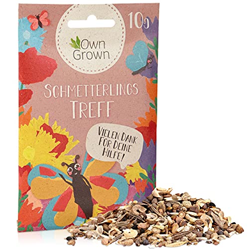 Schmetterlingstreff Blumenmischung: 10g Premium Schmetterling Blumensamen Saatgut - Insektenfreundliches Bienenweide Saatgut, Blumenwiese Samen mehrjährig und einjährig - Wildblumensamen von OwnGrown