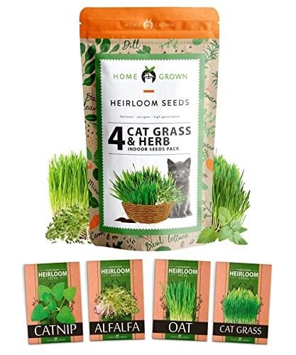 3200+ Cat Grass Seeds - Catnip Seeds, Alfalfa Seeds, Oat Seeds, and Oat & Barley Mix - Grow Cat Grass for Indoor Cats - Cat Grass Seeds Bulk - Refill Cat Growing Grass Kit - Heirloom Herb Seed