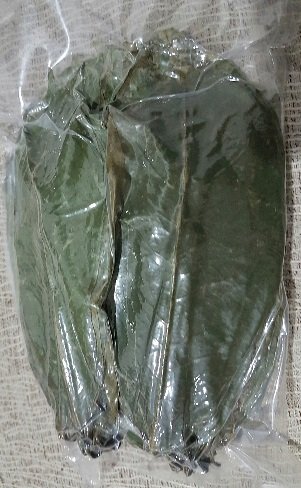 Finfast Air-Dried Guanabana / Soursop / Graviola / Guyabano Leaves (+/- 250 Premium Leaves, 100 Grams) #TOP5