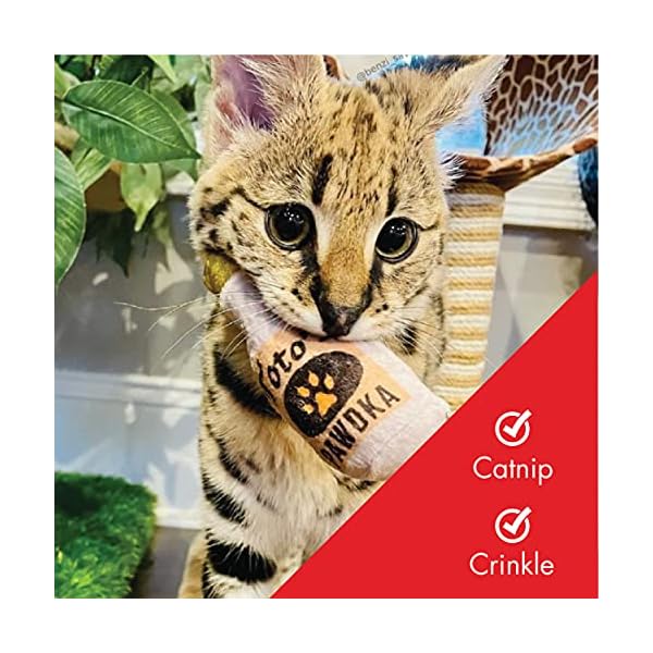 Huxley & kent cat toy | toto's pawdka | nappy hour strong catnip filled cat toy | soft plush kitty toy with catnip and crinkle | kittybelles - image 5