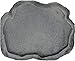 Zoo Med Reptile Rock Food Dish, Medium, 7.25