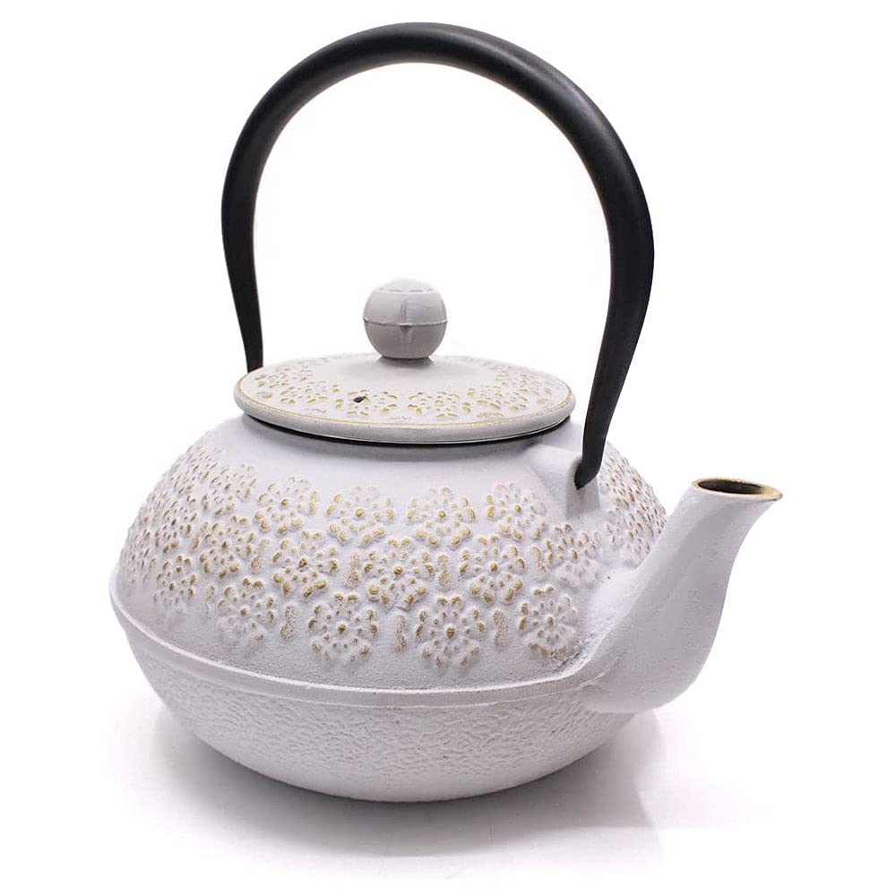 Tetera de hierro fundido con infusor, tetera japonesa, 800 ml, para 4 tazas, blanco