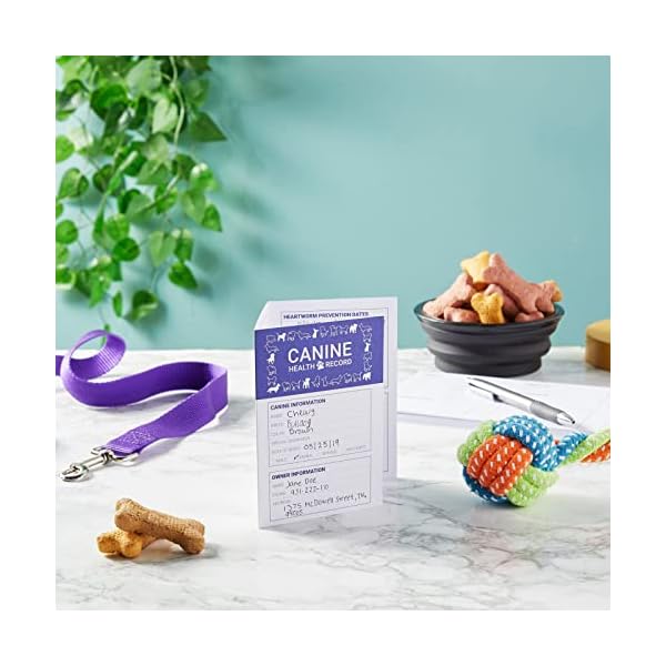 24 Pack Puppy Vaccine Record Book