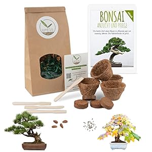 Bonsai Starter Kit vermeerderingsset incl. GRATIS eBook – plantenset van kokosnootpotten, zaden & grond – duurzaam…