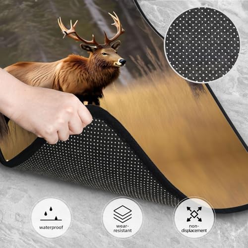 Tapis de sol voiture imprimé animaux sauvages protection durable - 2