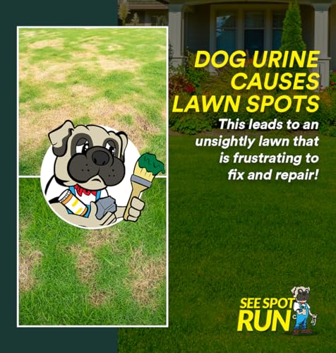 Image of See Spot Run Lawn Protection Concentrate Refill - 64 fl oz Each - Ready-to-Mix Solution for Dog Owners - Lawn Saver - Supports Healthy Soil - Safe for Pets
