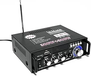 600W Amplifier, HiFi Audio Stereo BT Portable Radio for Car or Home, with Remote Control and Mini Display 2CH LCD, 12V / 110V