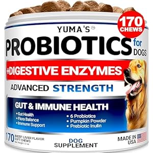 Probiotics for Dogs and Digestive Enzymes – 170 Dog Probiotics Chews – Dog Probiotic – Anti Diarrhea, Upset Stomach & Gas Relief, Canine Prebiotic – Pet Fiber Supplement – Beef Liver Flavor