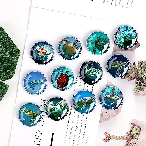 Imanes decorativos animales para refrigerador, pack 12 piezas miniatura 7