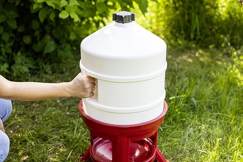Kerbl Geflügeltränke (Tränke / automatische Wasserversorgung für Geflügel, Höhe 70 cm, 30 Liter, Kunststoff rot/weiß) 70233
