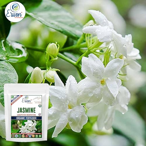Erwon Jasmine Flower Booster, Premium Essential Powerful Organic Fertiliser for Jasmine Plants, with Charged Micro-organism and ++ Micronutrients (200 gm)