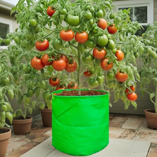 Image of by Bright Enterprises HDPE Grow Bags 9x9 Inch (Set of 5) - Heavy Duty Grow Bags for Terrace & Home Gardening | Plant Bags for Vegetables, Fruits and Plants | Grow Bag Combo Pack