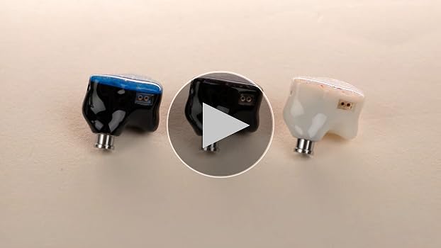 Amazon.com: Linsoul THIEAUDIO Hype 4 2DD+4BA in Ear Monitor
