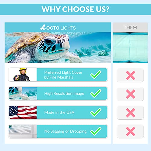 Image of Fluorescent Light Cover for Classroom Ceiling Lights - Premium Backlit Film Insert 2x4 (22.38 inchx46.5 inch) Florescent Fixture (Pack of 1) School, Office, Sensory, Improve Focus, Eliminate Headache - Turtle