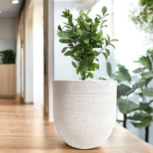 Image of Amazon Brand - Umi 10 Inch Large Plastic Planter Pot for Indoor Outdoor Plants | Big Size Garden Gamla UV Resistant Polymer Flower Pot | White Decorative Pot for Balcony, Garden, Terrace & Home Decor
