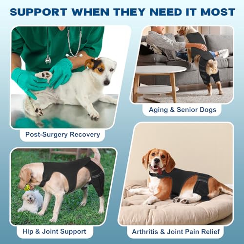 Image of Dog Knee Brace for Hind Leg - Adjustable Dog Rear Leg Support Brace with 4 Metal Stabilizers, Helps with Torn CCL, Luxating Patella, Ligament Injuries, Hip Dysplasia,L