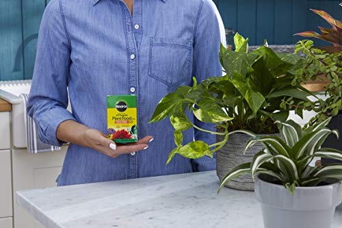 Image of Miracle-Gro Water Soluble All Purpose Plant Food, 8 oz. (2-Pack) | Fertilizer For All Indoor or Outdoor Plants including Roses, Flowers, Vegetables, Houseplants, Trees, and Shrubs
