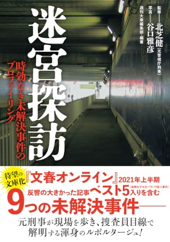 迷宮探訪　時効なき未解決事件のプロファイリング (双葉文庫 し 23-06)