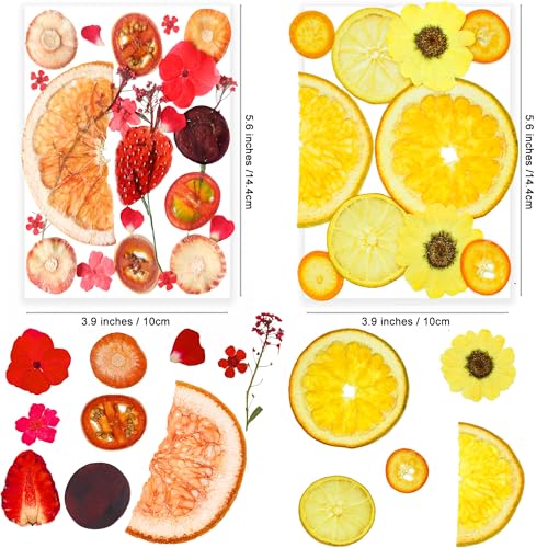 Image of 70PCS+ Nature Dried Pressed Fruits Flowers for Resin Mold, Real Dry Pressing Floral Set for DIY Jewelry Making Nail Card Scrapbook Art Craft Fruits Style