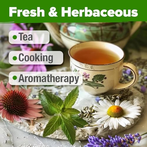 Image of HOME GROWN Medicinal Herb Seeds Vault - 2,000+ Seeds, 6 Non GMO Heirloom Varieties for Indoor & Outdoor Garden - Lavender, Chamomile, Mint, Lemon Balm, Peppermint, Echinacea