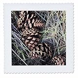 Square dimensions (in inches): 25 L x 25 W, image dimensions (in inches): 23 L x 23 W 100% poloyester; image is soft to touch. Made in USA Edges have pinking shear cut Image will not fade with washing. Image not a transfer, part of material