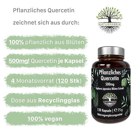 NATURFABRIK Quercetin 500mg | 120 Kapseln | 100% reines Sophora japonica Blüten Extrakt aus japanischem Schnurbaum | hochdosiert | 4 Monatsvorrat | Made in Germany