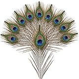 SendyFeather 10pcs Natural Peacock Feathers in Bulk 10-12inch for DIY Craft Wedding Flower Arrangement Christmas Day and Home Decoration