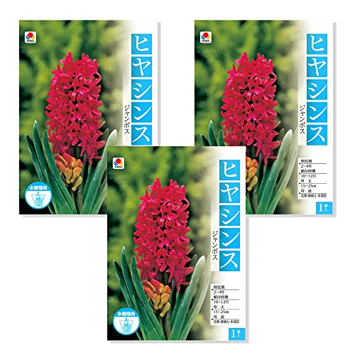 ycharmziϗtAjqVX ͔|pqVX W{XiRj kC~Gs