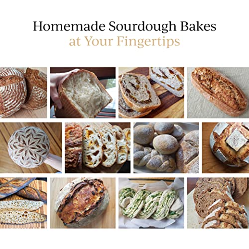Breadtopia Sourdough Starter Live | Non-Gmo, Heirloom, & Organic | Our Sour Dough Starter Is Active & Ready To Go | Sourdough Starters For Home Made Bread Sourdough | Easy To Use Bread Starter Culture #TOP5