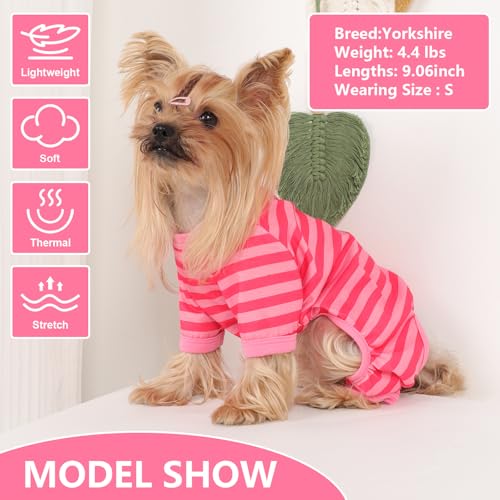 Pyjama d'été pour chien extensible contre les frissons nocturnes XS