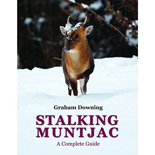 Stalking Muntjac: a Complete Guide