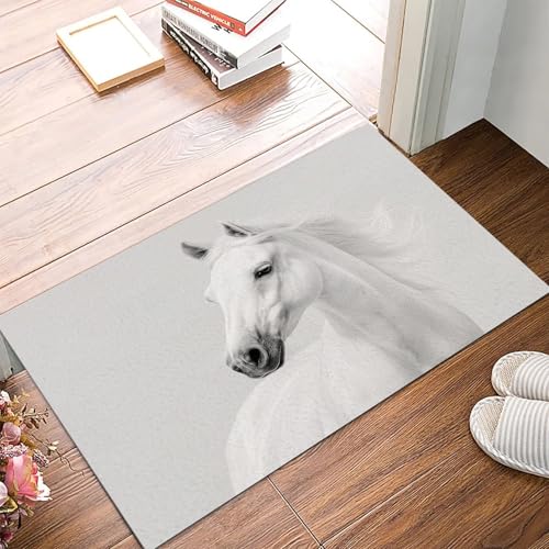 Tapis entrée intérieur 50x80cm lavable et tapis de sol mince
